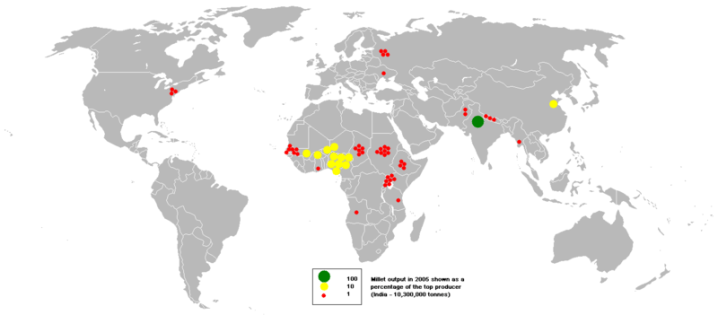 Graphic showing world distribution of millet cultivation
