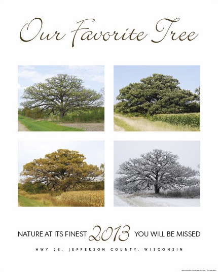 Our Favorite Tree Created by Tracy Hegg