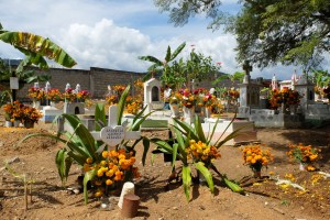 Cemetery at San Pedro del Rincón, Oaxaca covered in bouquets of marigolds and red flowers.