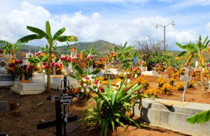 Cemetery view at San Pedro del Rincón with monuments covered in flowers.
