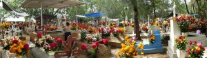 A panoramic view of the cemetery at San Antonín.