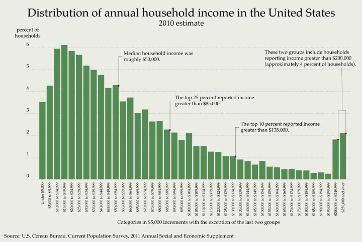 Graph showing percent of households in income groups starting at less than $5,000 and increasing by $5,000 to $250,000. Median household income was approximately $50,000.