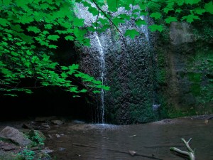 Waterfall and green leaves