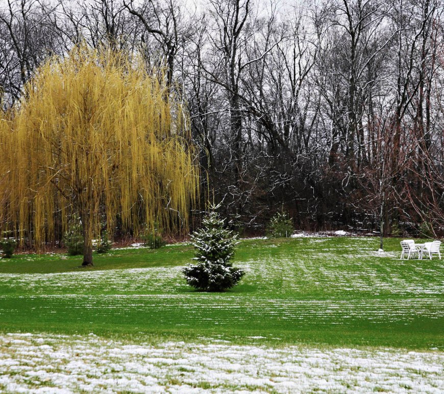 Patches of snow and green grass in a backyard scene.