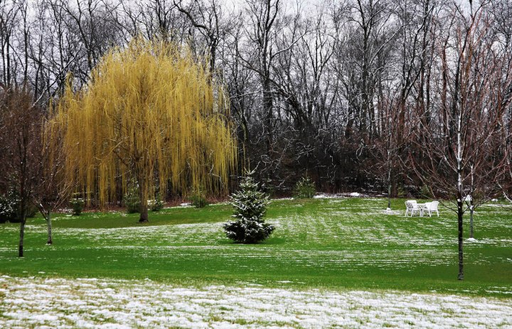 Patches of snow and green grass in a backyard scene.