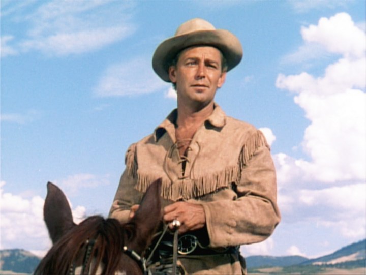 Alan Ladd as Shane