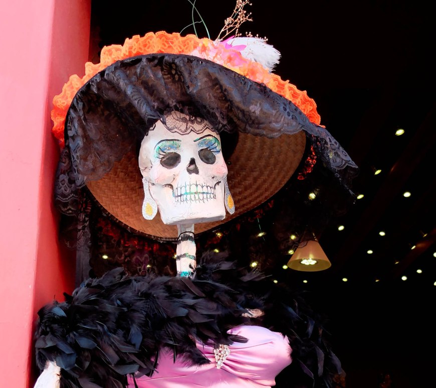 Dapper lady skeleton dressed in a bonnet, feather boa, and beautiful pink gown.