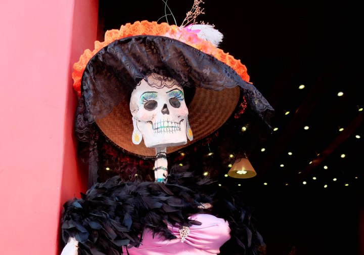 Dapper lady skeleton dressed in a bonnet, feather boa, and beautiful pink gown.