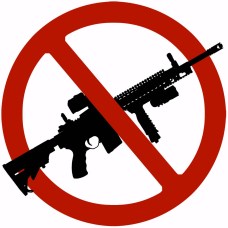 Ban Assault Rifles